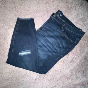 Lane Bryant Skinny Jeans